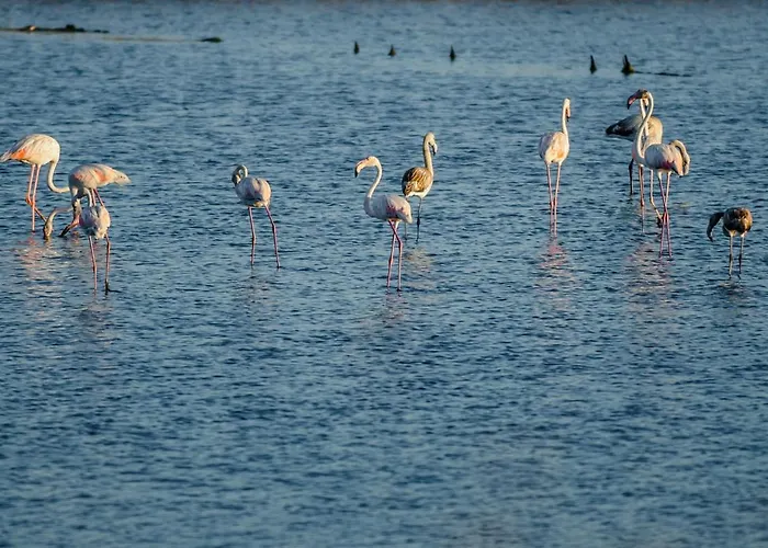 Апартаменты Pool *